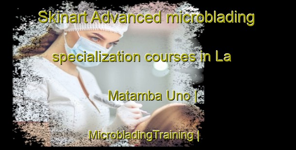 Skinart Advanced microblading specialization courses in La Matamba Uno | MicrobladingTraining | MicrobladingClasses | SkinartTraining-Mexico